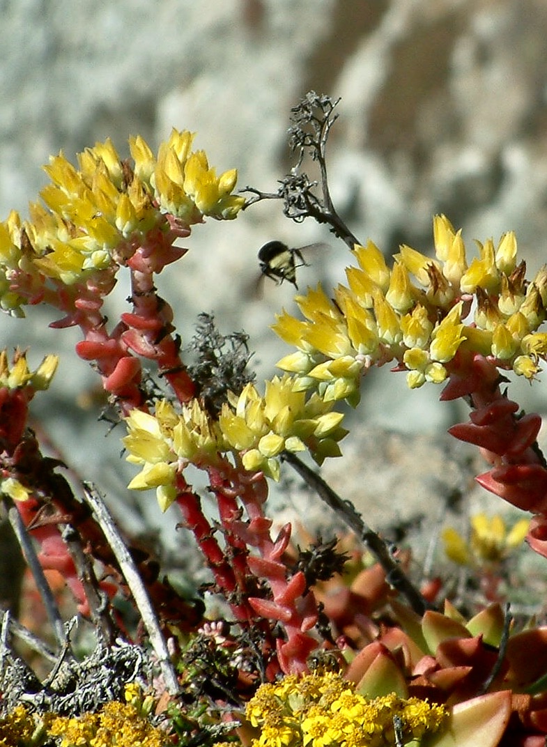 2005_07_24joepch-111