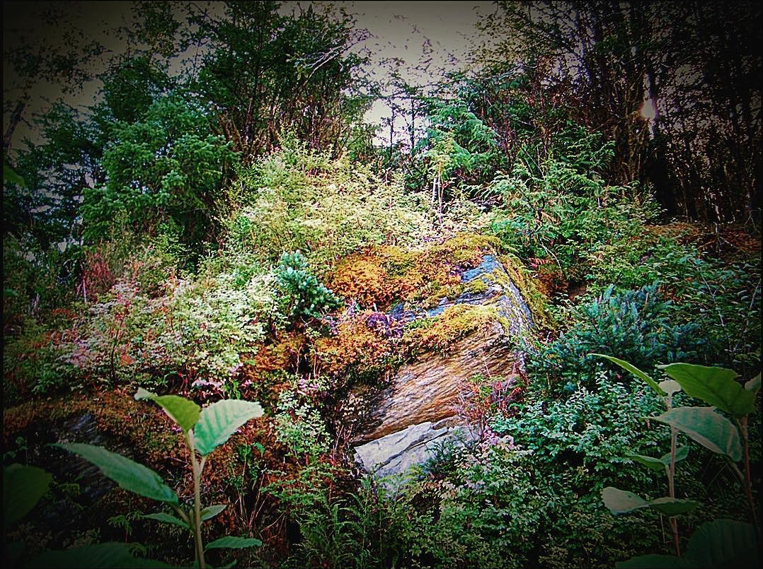 298a2-24177305_326156741126067_3429899700776468480_n