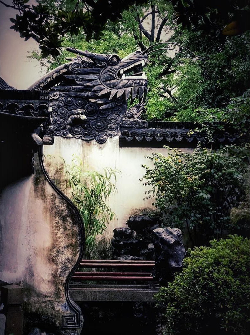 14117-24274681_155822704935797_5113274757638258688_n