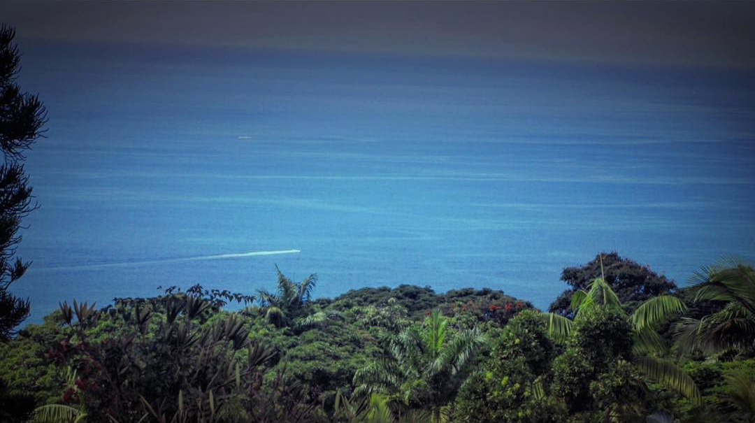 442e9-24127122_421667841582924_5053789804186042368_n