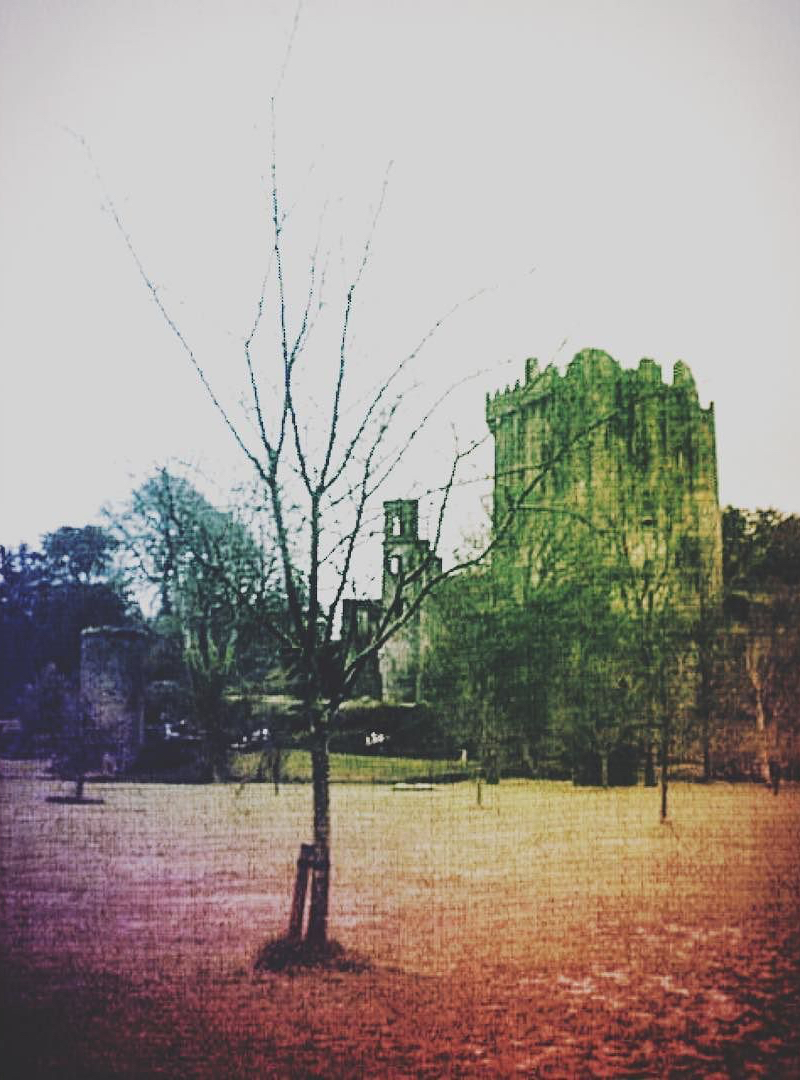 6f8e9-25023468_947079892110345_5007541158256050176_n