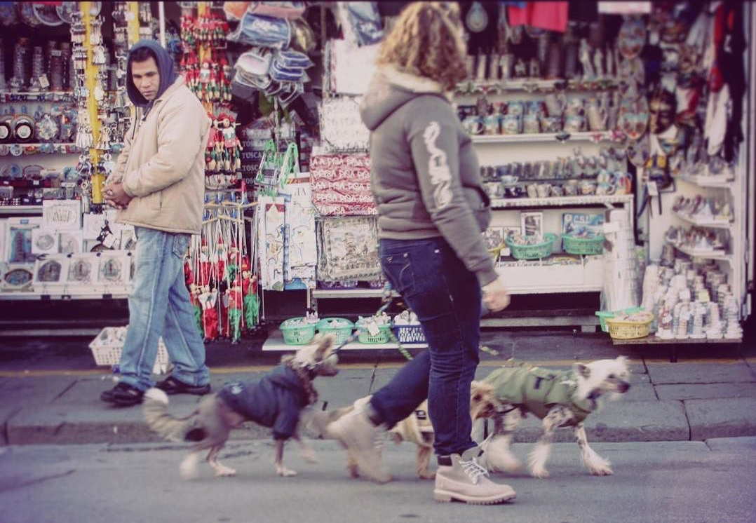 7ab57-24845807_726520500871322_3034529978151600128_n