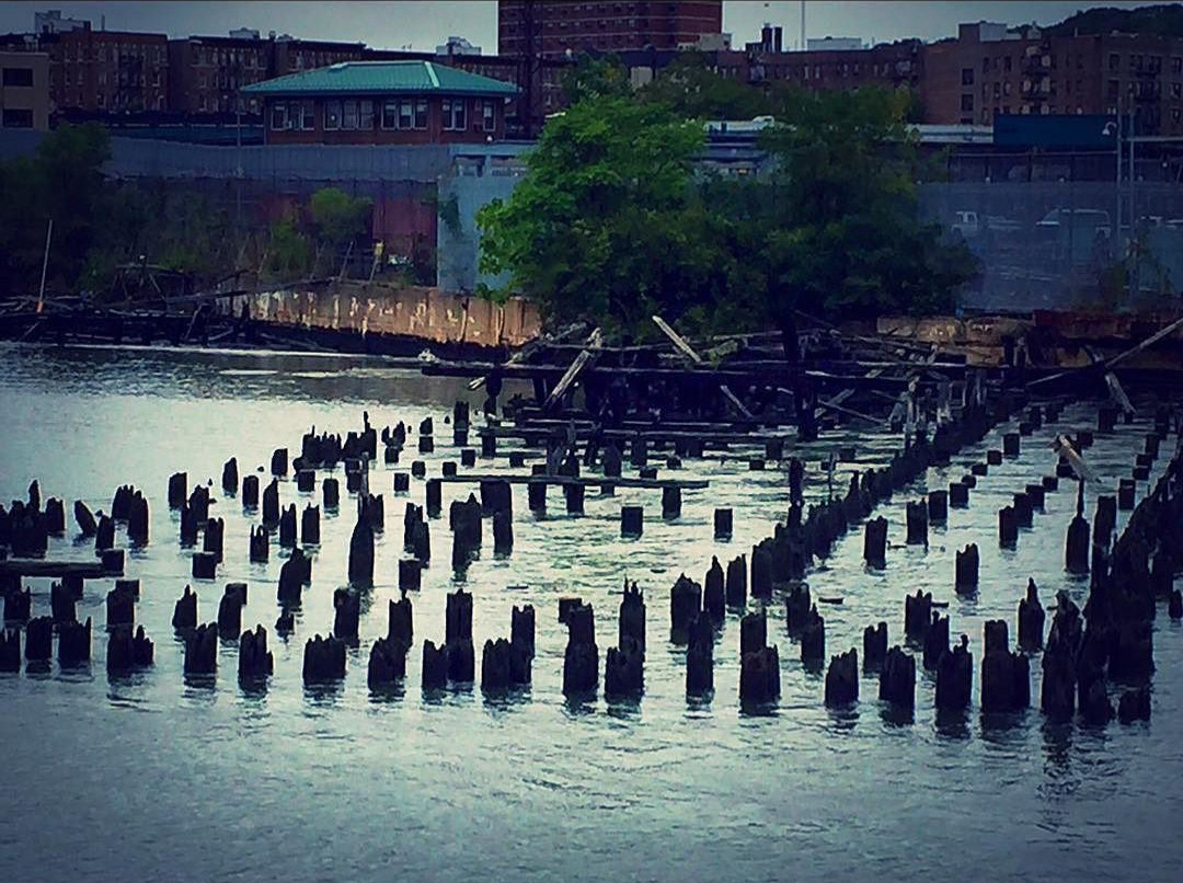 ef9b6-24254160_1974084239546250_2451959763718635520_n