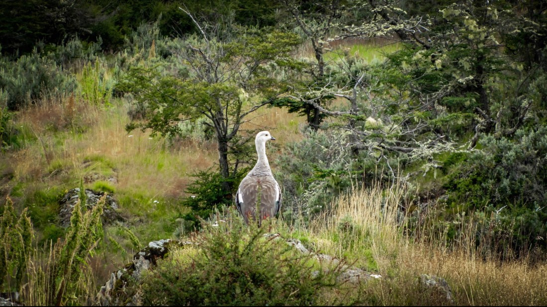 1D13EC4C-5172-4D51-9AF8-D9ACF9B2B0DE