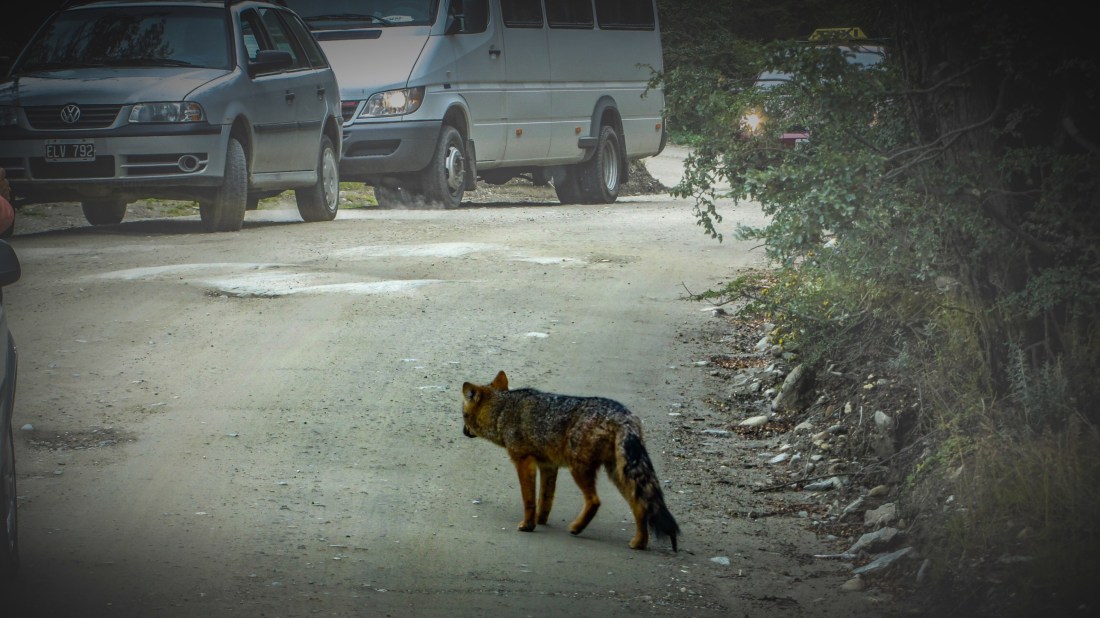 9C78765C-1961-4FF3-882F-F3738DDF370B