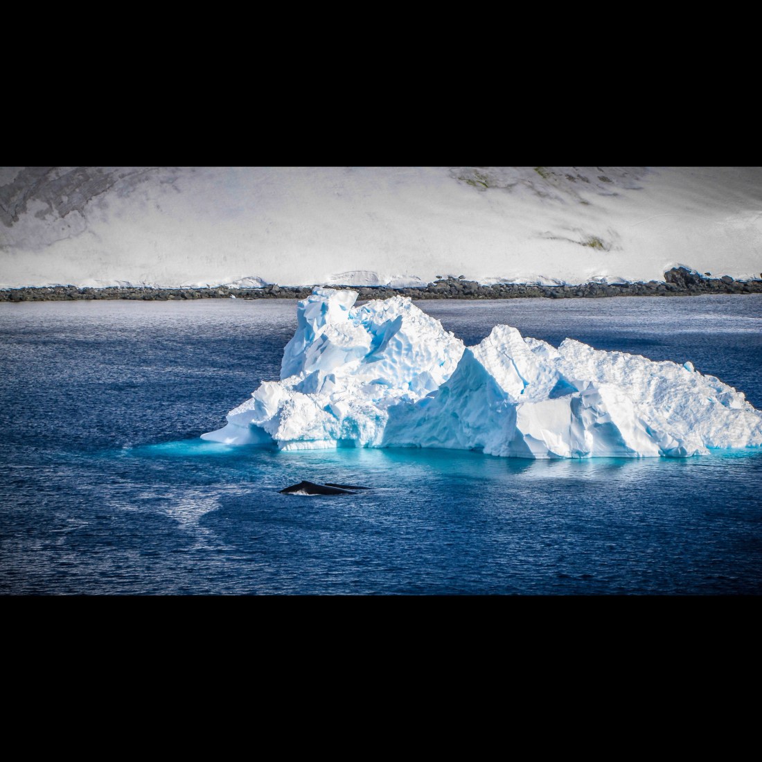 C9462515-E8CE-411C-AC9D-87C16BEA8302