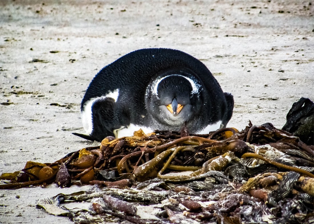 E90BD0E8-4A67-4D97-AB29-F1FDAE335F64