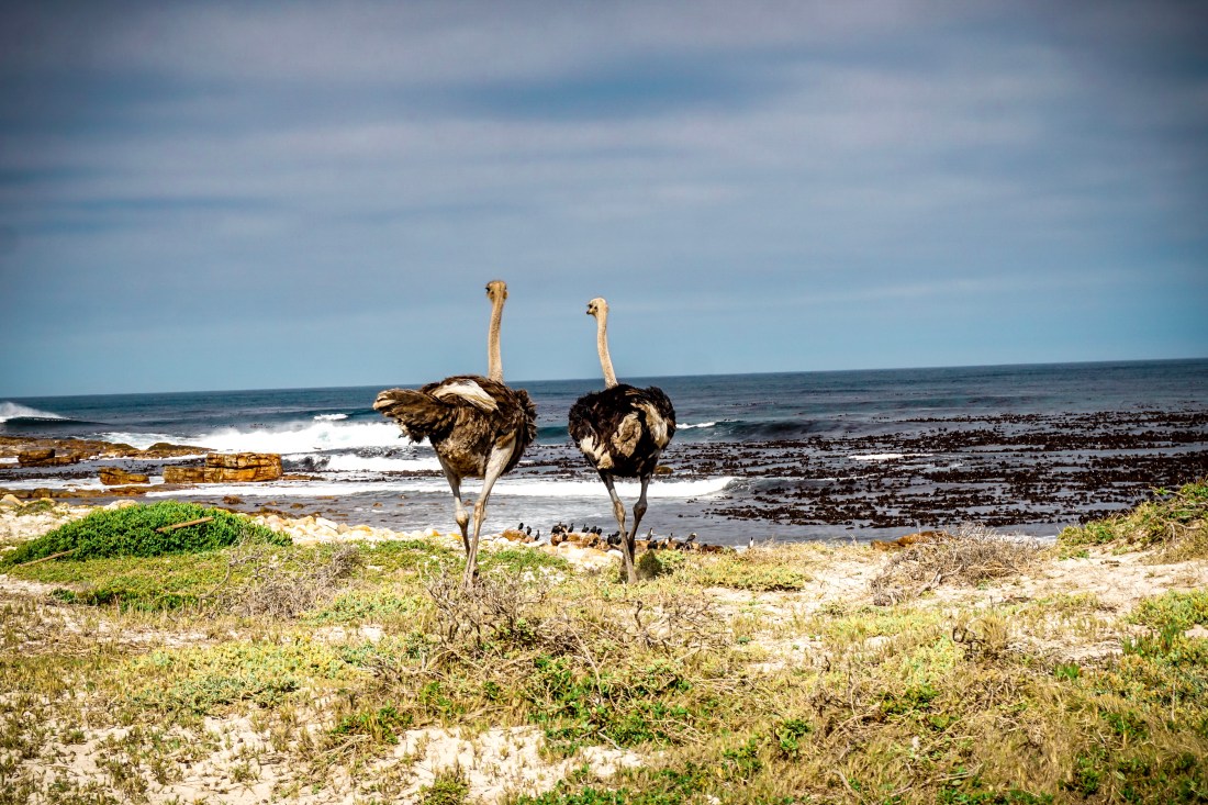 0AF3056D-F90D-44C7-BDF7-4FDA39D6958D