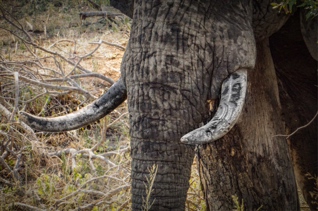 25BA8163-FFAE-4EC2-A4C1-8F3FB38D67B9