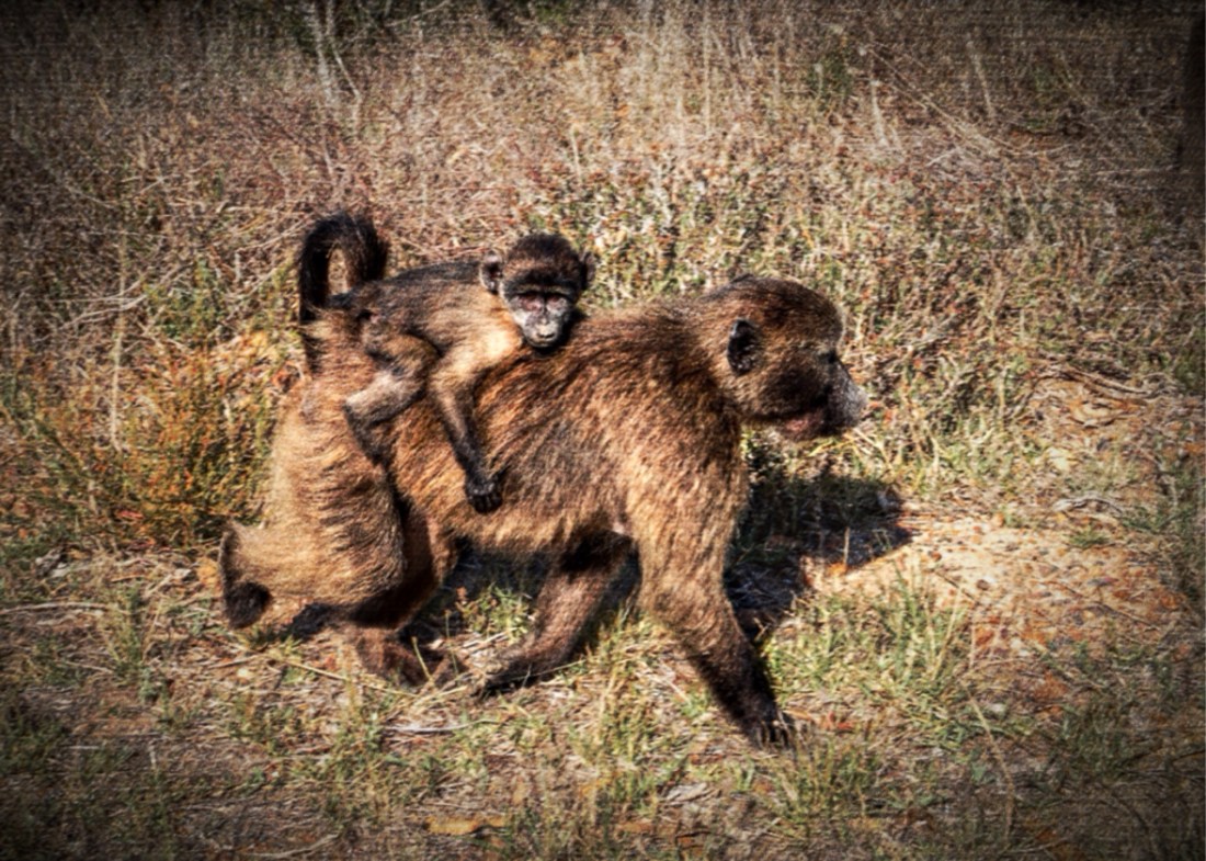 5A412CEB-A46A-4978-89B1-26AA81C5A7C8